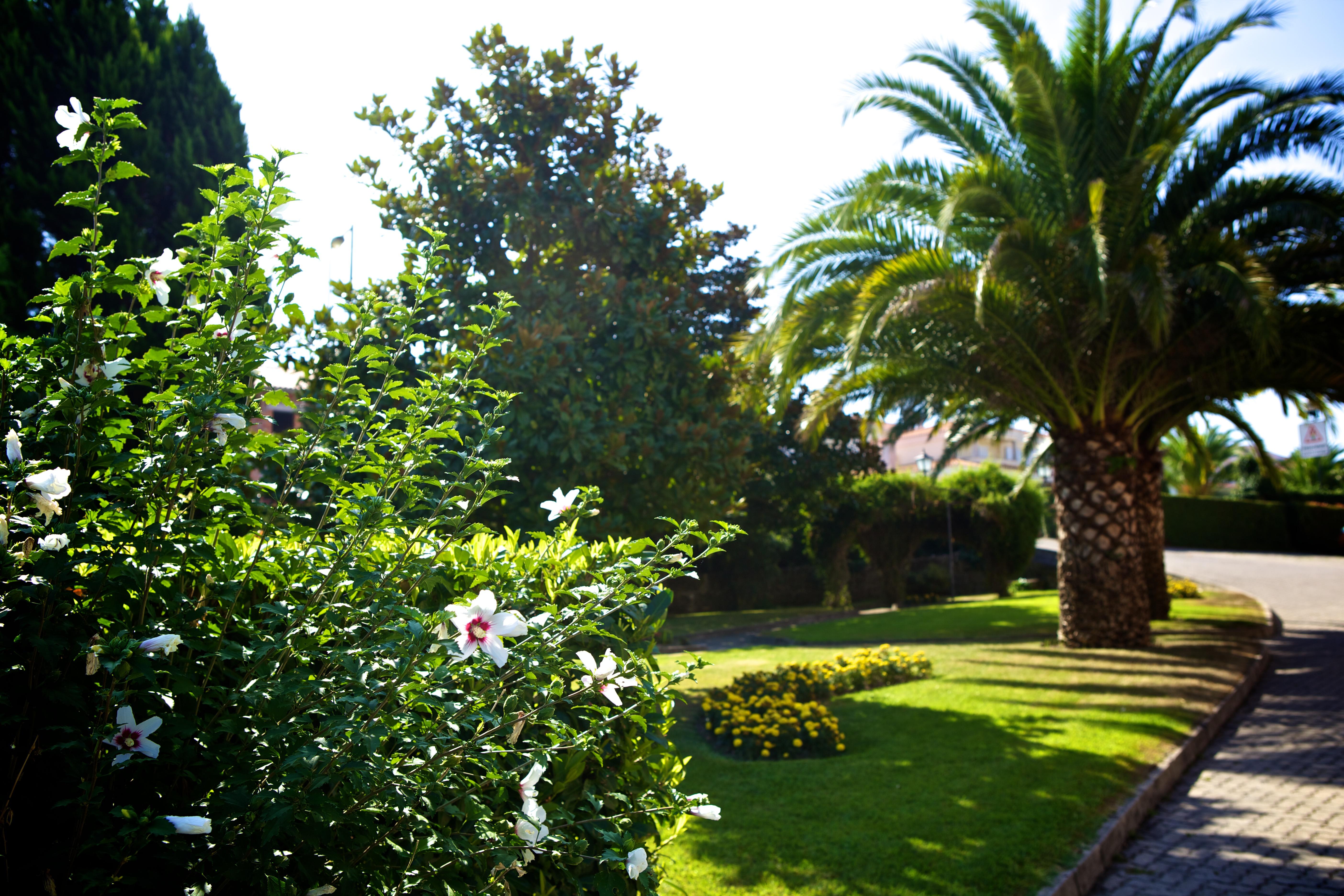 Hotel Sj Tondela Dış mekan fotoğraf